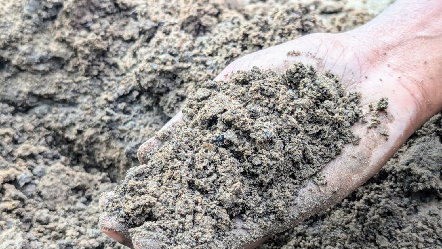 Soil