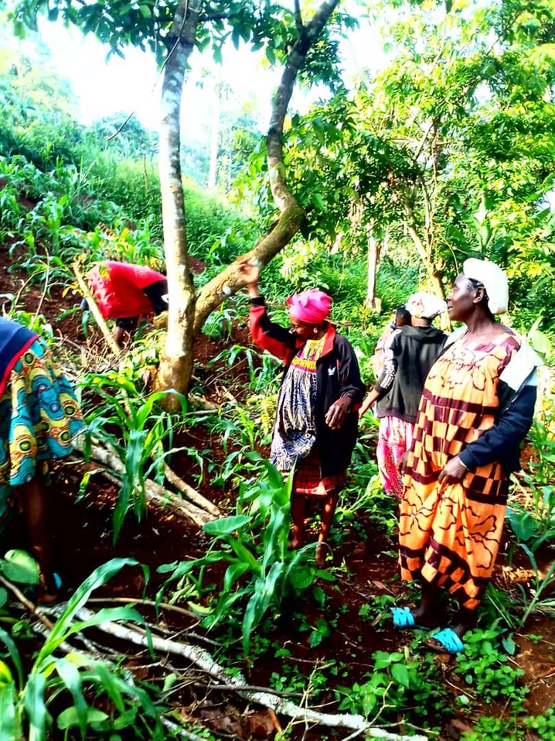 Odette Nganmo dans sa parcelle de piment. Photo crédit: CPF de Mbouo
