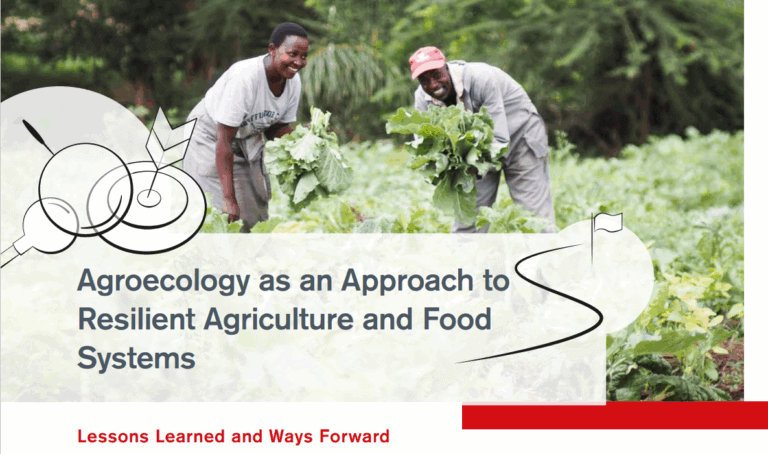 The image shows how agroecology strengthens resilience capacities.