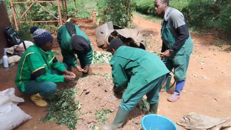 Formation des producteurs sur la préparation du thé de compost
